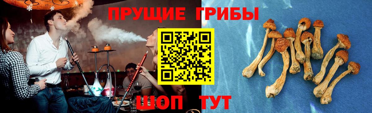 Озёры  Галлюциногенные грибы мицелий  Вход с VPN 