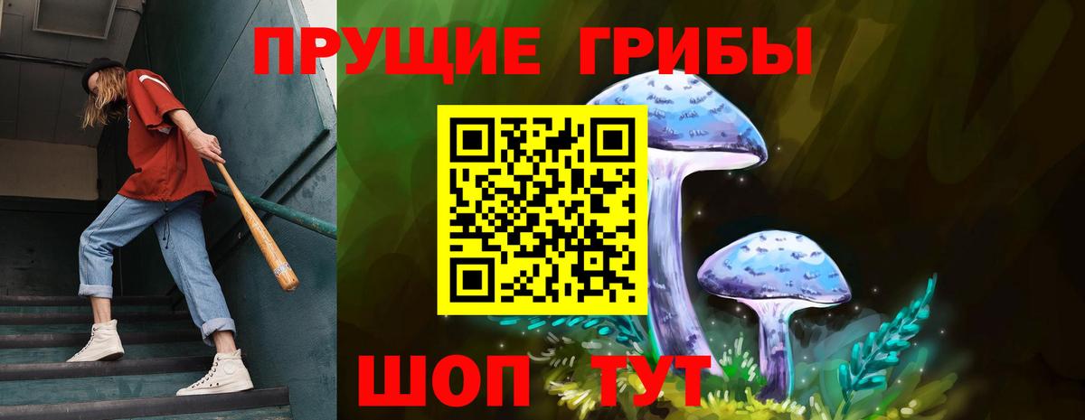 Галлюциногенные грибы Cubensis Озёры
